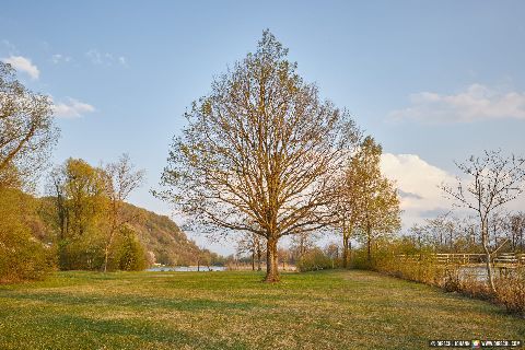 Gemeinde Marktl Landkreis Altötting Marktler Badesee Liegewiese (Dirschl Johann) Deutschland AÖ